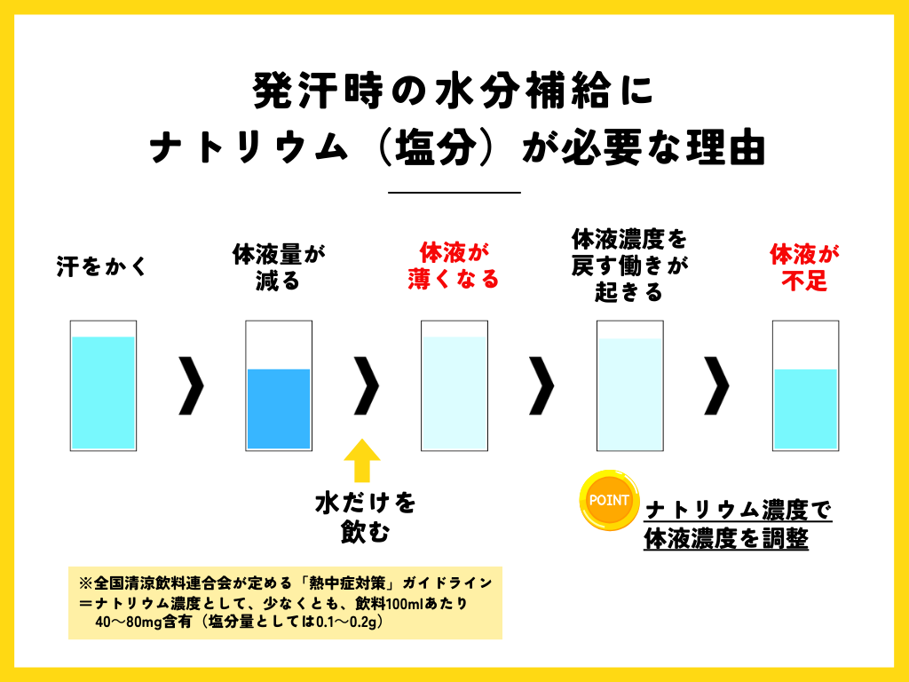 発汗時の水分補給にナトリウム（塩分）が必要な理由